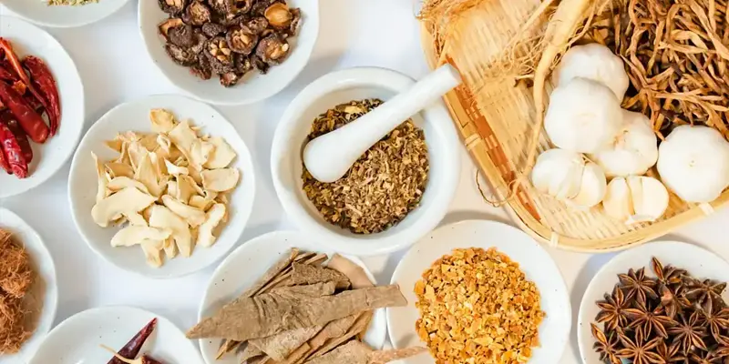 Bài thuốc giúp nâng cao chức năng tỳ có thể hỗ trợ chữa gan nhiễm mỡ