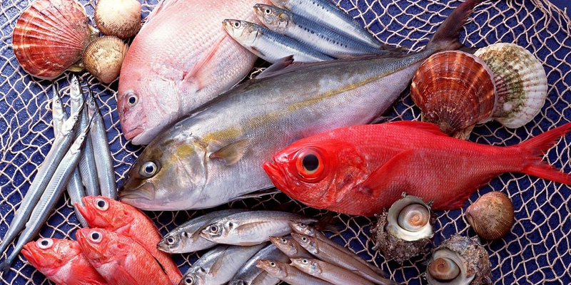 Người mắc gan nhiễm mỡ nên thường xuyên bổ sung các loại cá vào thực đơn hàng ngày