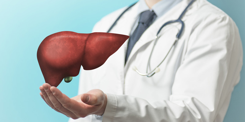 Một trong những nguyên nhân phổ biến gây tổn thương gan ngày nay là tình trạng nhiễm mỡ gan