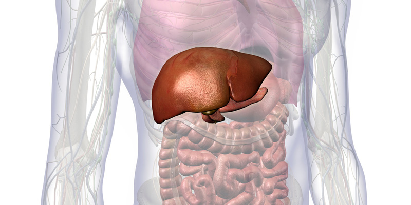 Gan to là dấu hiệu báo động các vấn đề sức khỏe khác