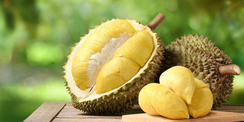 Người bị men gan cao ăn sầu riêng được không