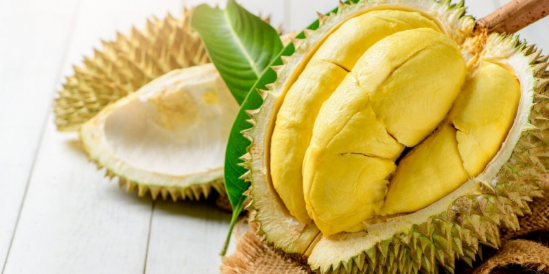 Sầu riêng là loại quả có hàm lượng dinh dưỡng đa dạng