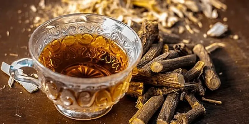 Cam thảo là một trong những vị thuốc được dùng để trị gan nhiễm mỡ trong Đông y