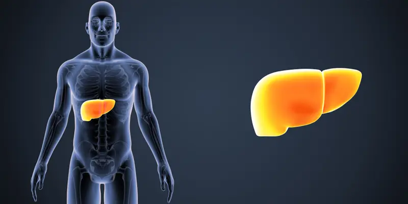 Rượu, bia là nguyên nhân hàng đầu gây ra gây nhiễm mỡ