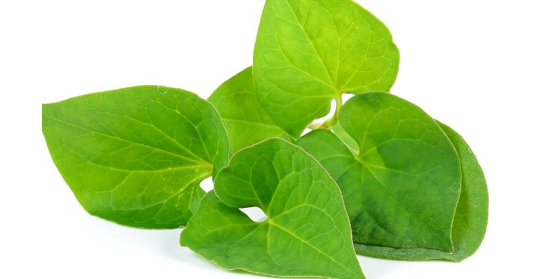 Các loại rau còn có tác dụng hỗ trợ quá trình giải độc, giảm gánh nặng cho gan