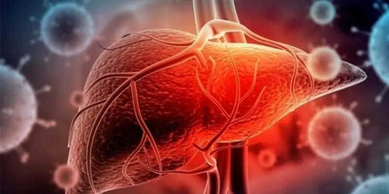 Tác dụng phụ của thuốc giải độc gan