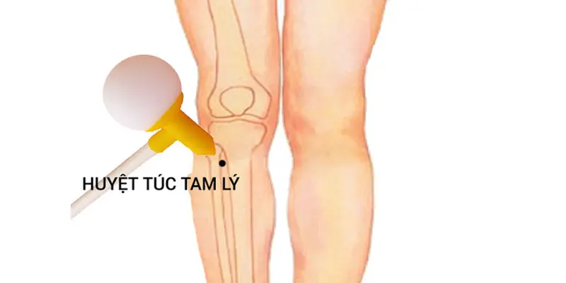 Huyệt Túc tam lý giúp cải thiện gan nhiễm mỡ
