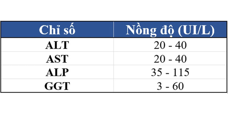 Những chỉ số trong xét nghiệm gan nhiễm mỡ