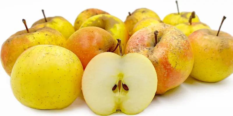 Chữa gan nhiễm mỡ bằng táo mèo là thắc mắc của nhiều người