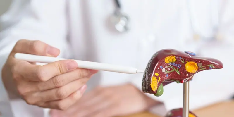 Cơ chế bệnh sinh xơ gan là do gan chịu trách nhiệm xử lý nhiều chức năng chuyển hóa nên dễ bị tổn thương