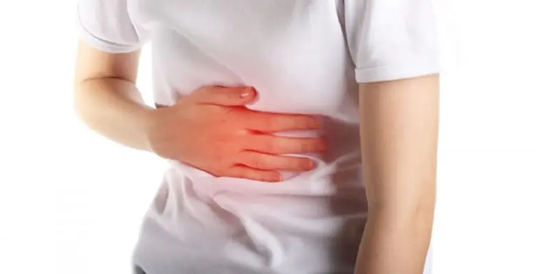 Sâm sở hữu đặc tính giải độc gan hiệu quả