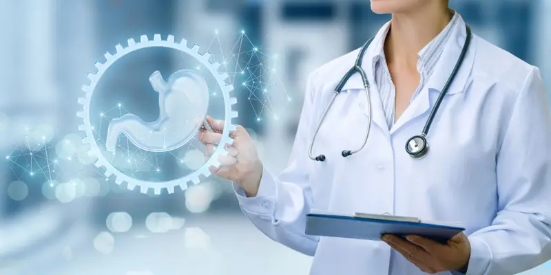 Tảo biển không những cung cấp chất xơ cho cơ thể mà còn hỗ trợ sức khỏe đường ruột