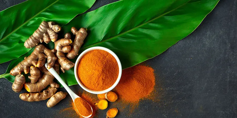 Củ nghệ có tác dụng giảm tổn thương gan hiệu quả