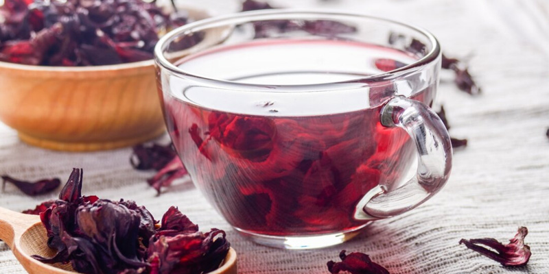 Các chất trong hoa atiso đỏ hỗ trợ giải độc gan