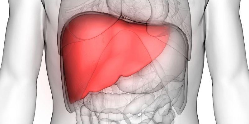 Ghép gan là giải pháp có hiệu quả rất cao, nhưng cần cân nhắc kỹ vì rất nhiều yếu tố trước khi thực hiện.