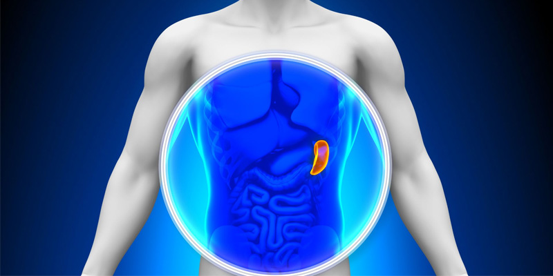 Cường lách là tình trạng lách hoạt động quá mức, dẫn đến việc nó lọc và phá hủy các tế bào máu 