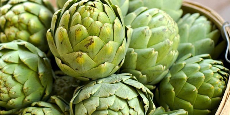 Dưỡng chất trong atiso giúp giải độc gan