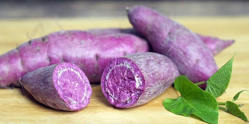 Khoai lang tím giàu vitamin C và E có khả năng ức chế sự phát triển của một số tế bào ung thư