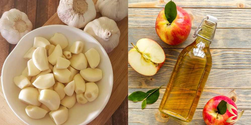 Giấm táo chống oxy hóa và hỗ trợ giảm mỡ gan.