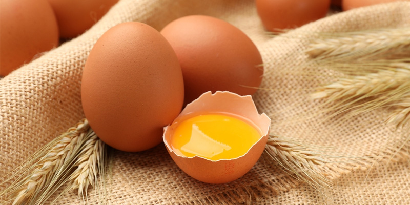 Thành phần dinh dưỡng của trứng mang giá trị cao