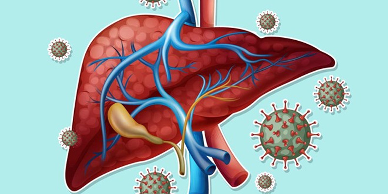 Gan nhiễm mỡ kéo dài có thể dẫn đến xơ gan