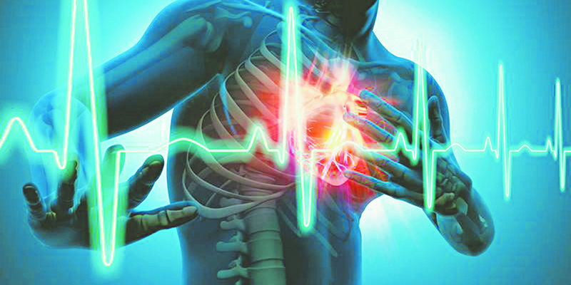 Bệnh gan nhiễm mỡ góp phần làm tăng nguy cơ mắc bệnh tim mạch