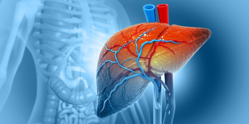 Gan nhiễm mỡ có thể gây ra viêm gan cấp, tiến triển viêm gan mạn, xơ gan