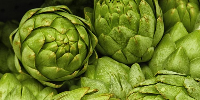 Nếu bạn thắc mắc "Gan nhiễm mỡ độ 2 uống lá gì?", hãy dùng atiso