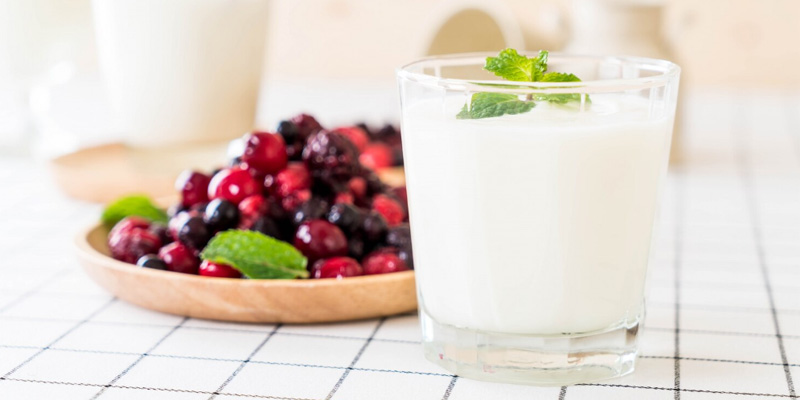 Sữa chua là một trong những loại sữa dành cho người bệnh gan nhiễm mỡ