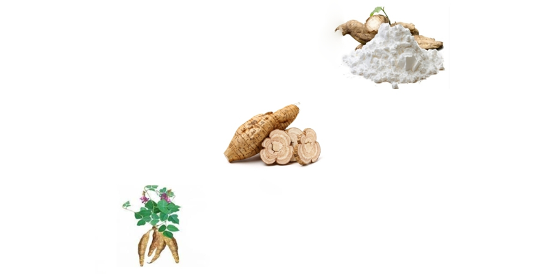 Theo Đông y, bột sắn dây có tính hàn, vị ngọt, có tác dụng thanh nhiệt, giải độc, làm mát gan và hỗ trợ tiêu hóa