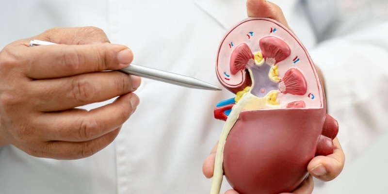 Các chỉ số men gan thấp có thể xuất hiện ở người mắc bệnh gan giai đoạn cuối hoặc bệnh thận