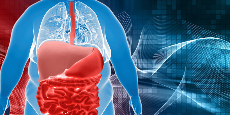 kích thước gan thay đổi và bụng to là dấu hiệu nhận biết bạn có thể bị gan nhiễm mỡ