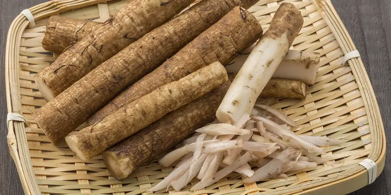 Cây ngưu bàng được nhiều người sử dụng như một vị thuốc nam trị gan nhiễm mỡ