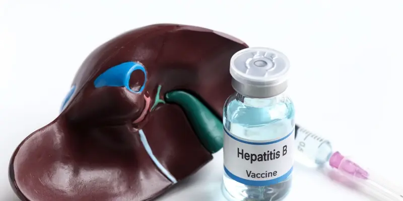 Viêm gan virus mạn tính là nguyên nhân hàng đầu gây ra xơ gan