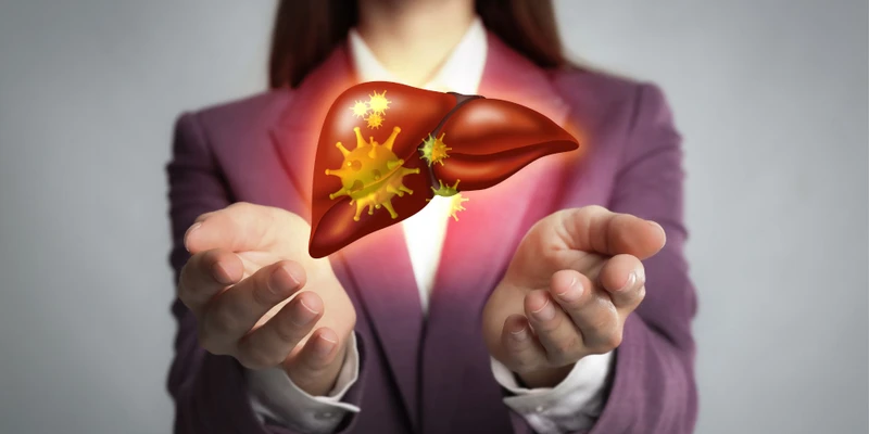 Gan là cơ quan chính giúp lọc bỏ độc tố. Khi chức năng gan suy giảm, độc tố dễ tích tụ và gây phản ứng trên da