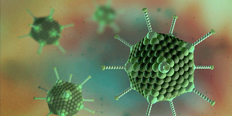 Hình ảnh dưới kính hiển vi mô phỏng của adenovirus