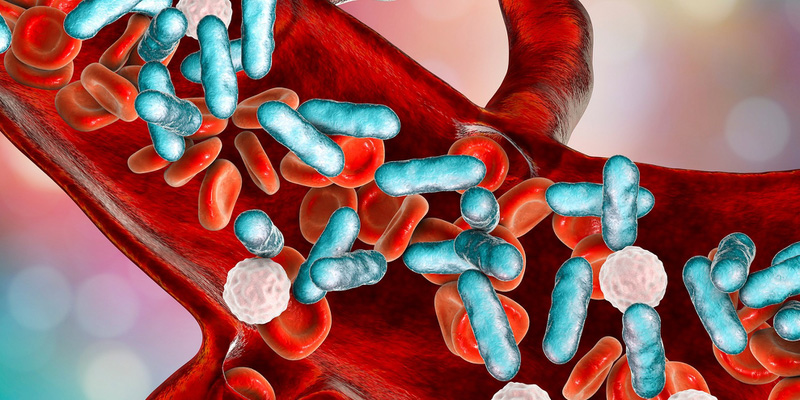 Xơ gan làm giảm khả năng miễn dịch của cơ thể gây nhiễm trùng máu