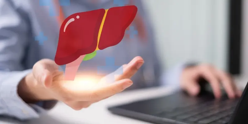 Phân thùy gan mô tả cấu trúc tổng thể của gan