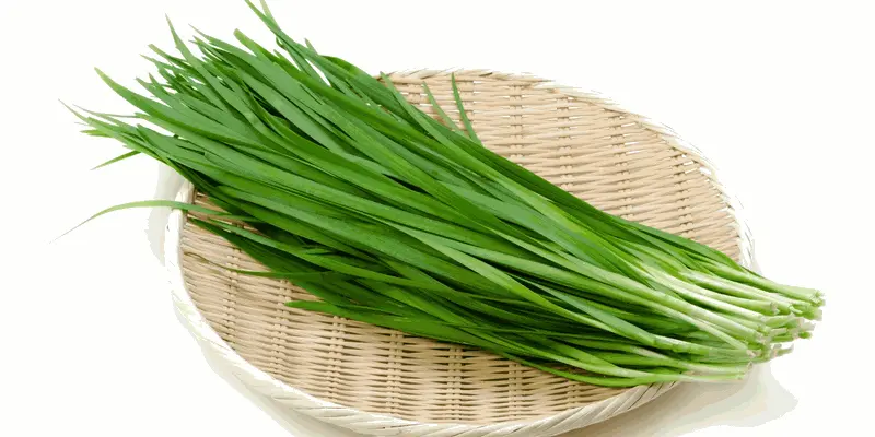 Trong y học cổ truyền, hẹ được biết đến với chức năng tăng cường tuần hoàn máu