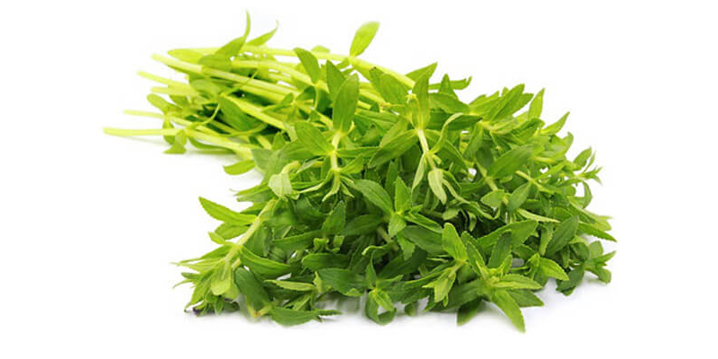 Rau ngổ có tác dụng thanh nhiệt giải độc t​​​​hường được dùng để cải thiện chức năng gan