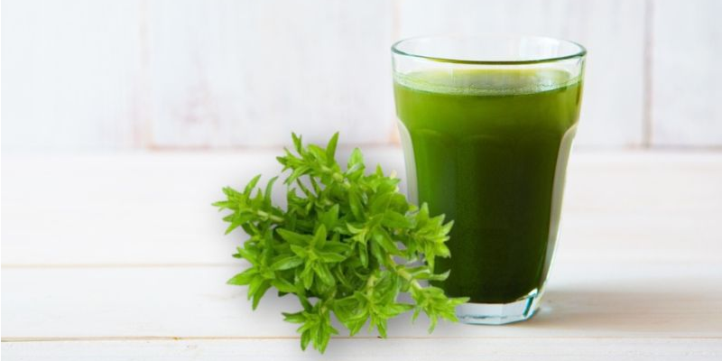Nước ép rau ngổ tươi là cách đơn giản và phổ biến nhất, giúp giữ lại tối đa các enzyme và vitamin có trong rau ngổ