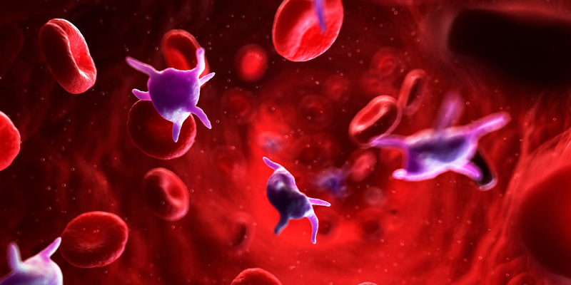 Tại sao xơ gan gây giảm tiểu cầu