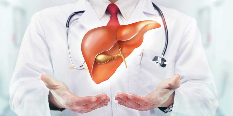 Gan là cơ quan quan trọng trong việc loại bỏ các độc tố khỏi cơ thể