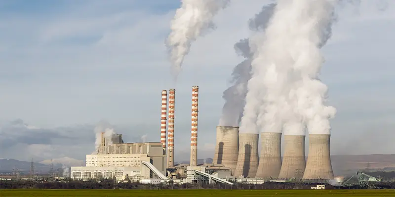 Thuốc và hóa chất sẽ gây ảnh hưởng đến gan