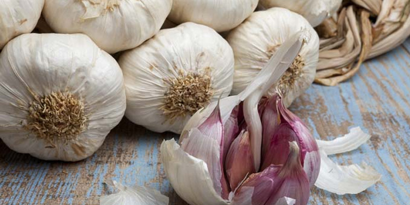Allicin có trong tỏi có tác dụng kháng viêm