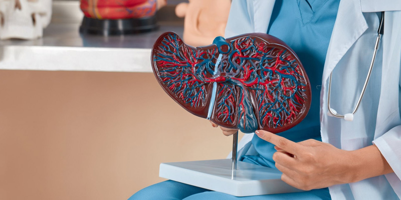 Tổn thương gan gây vàng da kèm đau hạ sườn phải