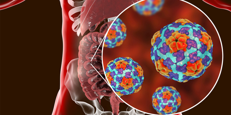 Tổng quan viêm gan B mạn không có tác nhân delta