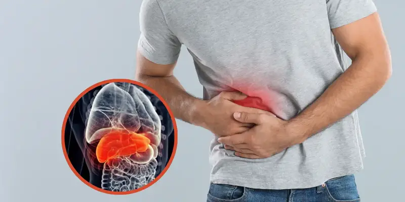 xơ gan và triệu chứng bệnh xơ gan xuất huyết hóa là gì