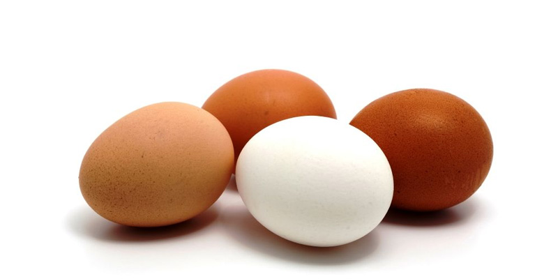 Trứng là thực phẩm thuộc nhóm có protein dễ chuyển hóa