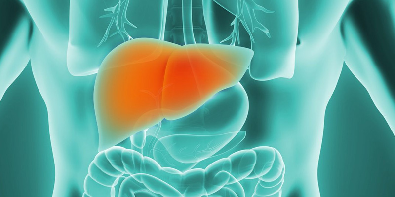 “U gan lành tính có nguy hiểm không” là thắc mắc của nhiều người.